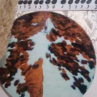 دف سردار|سازهای سنتی|یزد, |دیوار