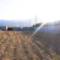 فروش انواع زمین باغ شهری و کشاورزی|فروش دفتر صنعتی، کشاورزی، تجاری|شیراز, بید زرد|دیوار