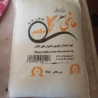 برنج معطر هاشمی  گیلان