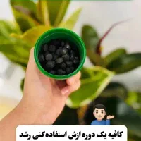 کود همه کاره رشد گیاه|گل و گیاه طبیعی|اهواز, نادری|دیوار