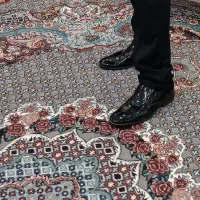 تعدادی لباس|لباس|تهران, شمیران‌نو|دیوار