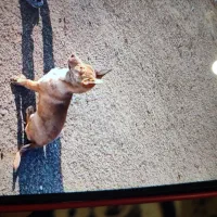 سلام خسته نباشی یک عددفیندی