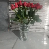 گل رز