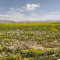 دیمیزار دوهکتاری در محدوده شهر فیروزکوه|فروش زمین و ملک کلنگی|فیروزکوه, |دیوار