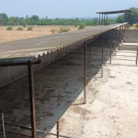 دامداری-و-زمین-کشاورزی