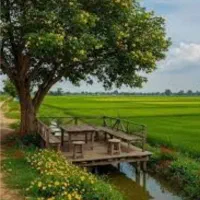 فروش-زمین-شرف-آباد-جنب-شهرک-مخابرات