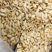 تخمە کدو (عمدە)