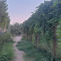 باغچه ۵۰۰ متری،محدوده اشرف آباد