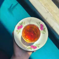 مشهد گردی کافه