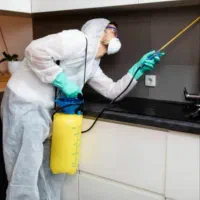 سمپاشی/تمام خوزستان/سم پاشی/ساس سوسک موش موریانه|خدمات نظافت|اهواز, پادادشهر|دیوار