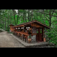 باریستا / کافی من هتل جنگلی چالدره