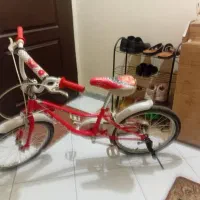 دوچرخه دخترونه