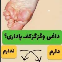 تست رایگان کبد چرب|خدمات آرایشگری و زیبایی|بابل, |دیوار