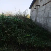 چمن زنی.علف زنی.بادستگاه