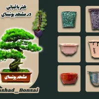 گلدان دستساز بونسای