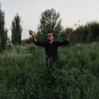 بذر یونجه با تناژ نه تن در هکتار|خدمات باغبانی و درختکاری|شیراز, آبیاری|دیوار