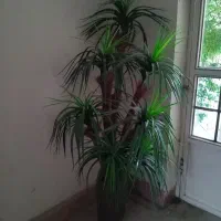 درختچه نخل مصنوعی