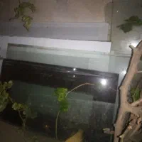 شیشه اجاق گاز