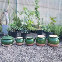 دیزی سفالی وگمج