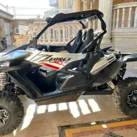 باگی زدفورس 1000