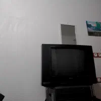 تلویزیون پارس|تلویزیون و پروژکتور|شوشتر, |دیوار