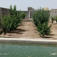 فروش باغ روستای هویه|فروش خانه و ویلا|ابریشم, |دیوار