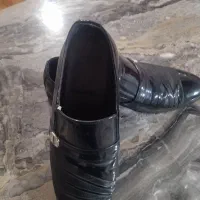 کفش مجلسی وشیک|کیف، کفش، کمربند|خرمدره, |دیوار