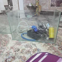 تنگ اکواریوم