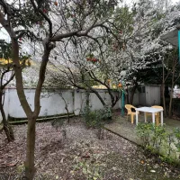 ویلا دوبلکس دو خواب ویو جنگل