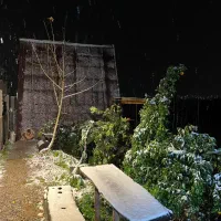 اجاره روزانه کلبه سویسی|اجارهٔ کوتاهمدت ویلا و باغ|مرزیکلا, |دیوار