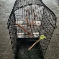 قفس پرنده بزرگ