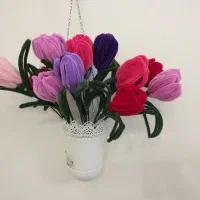 گل های مخمل