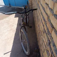 دوچرخه 24