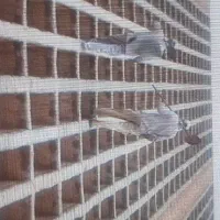 فروش قبر دوطبقه بهر خیابان