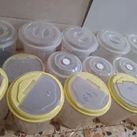 ظرف پلاستیکی و شیشه ای به قیمت