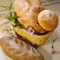 همکار ساده خانم قنادی