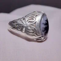 کلکسیون انگشتر های شجر قائنات ناب طبیعی مصور|جواهرات|تهران, استاد معین|دیوار