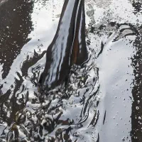 خریدار نهایی روغن سوخته(صنعتی)|خدمات موتور و ماشین|تهران, تهرانسر شرقی|دیوار