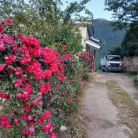 فروش آکسور تک کمپرسی|خودرو سنگین|دالخانی, |دیوار