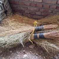 جارو‌دستی‌حیاط