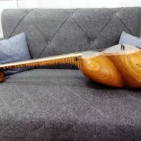 فروش تار حرفه ای