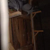 پلاکی نر معاوضه با زاغ ملقی|پرنده|فهرج, |دیوار