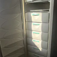 فریزر استاده