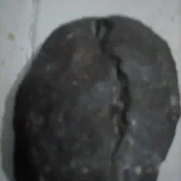 سنگ  فسیل|جواهرات|پرند, فاز ۴|دیوار