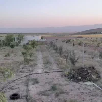 باغ فروشی درسهرین|فروش خانه و ویلا|قره پشتلو, |دیوار