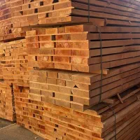 فروش چوب راش