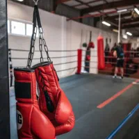 هنرهای رزمی