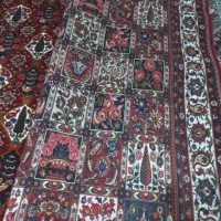 فرش دستباف رنگ ثابت ۶ متری و ۴و نیم متری|فرش|بابل, |دیوار