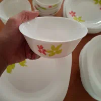 سرویس غذاخوری لومینارک فرانسه|ظروف سرو و پذیرایی|تهران, آرژانتین|دیوار