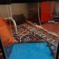 آکواریوم aqua bt300|ماهی|آفتاب, |دیوار